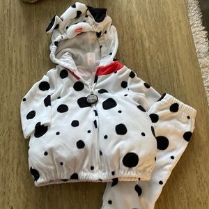 Dalmatian little buddy